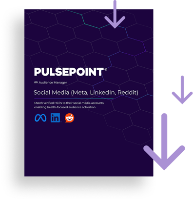 Audience Manager Book