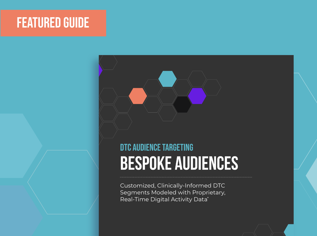 BespokeAudiences_Guide-Feature (1)-1
