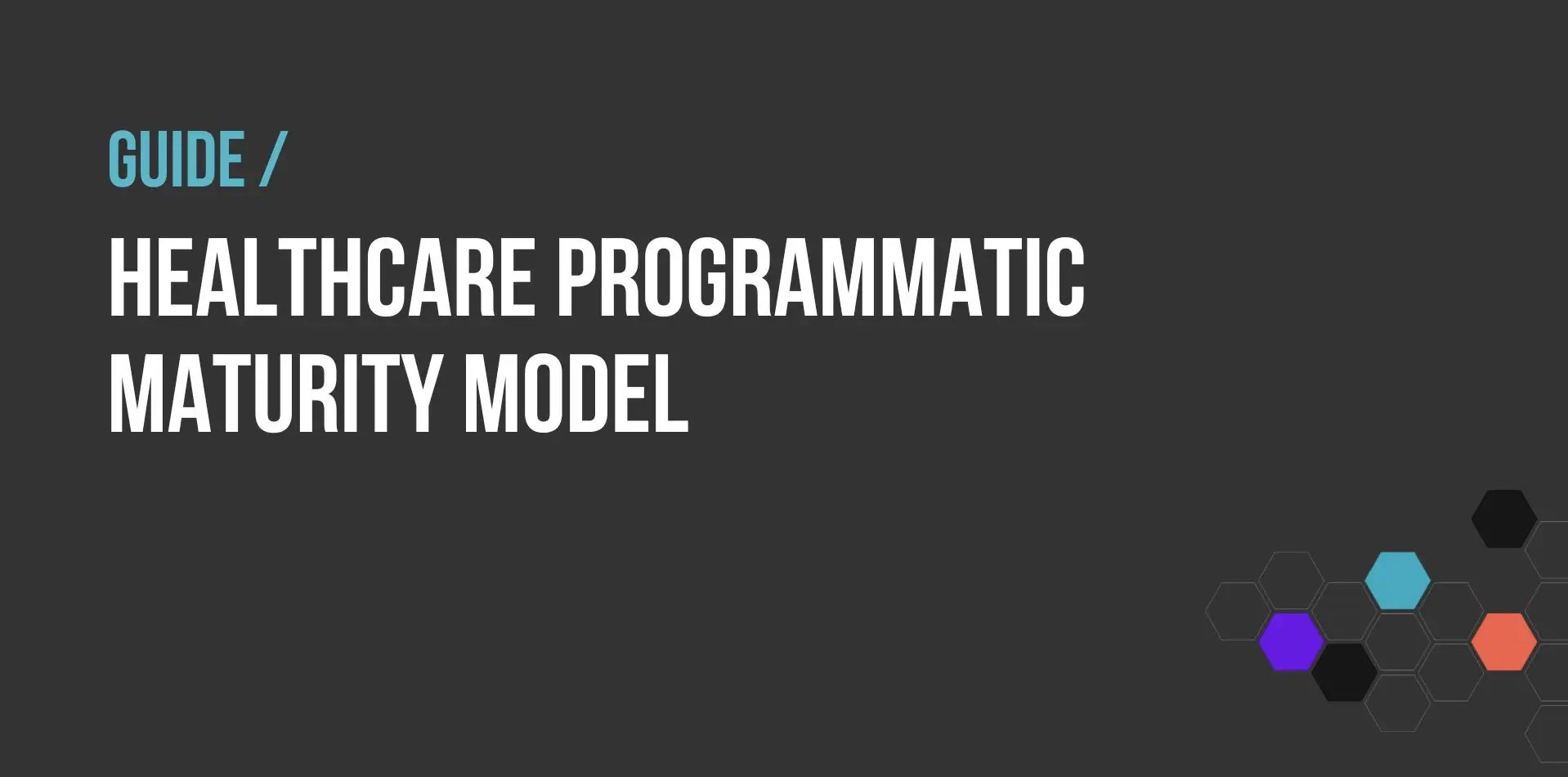 HEALTHCARE PROGRAMMATIC MATURITY MODEL