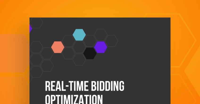 Real-Time Bidding Optimization